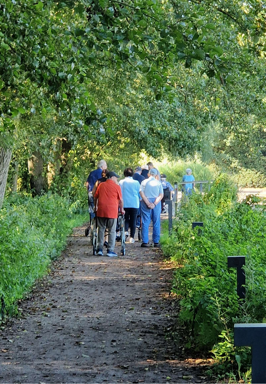 Alte Menschen gehen durch die Natur spazieren